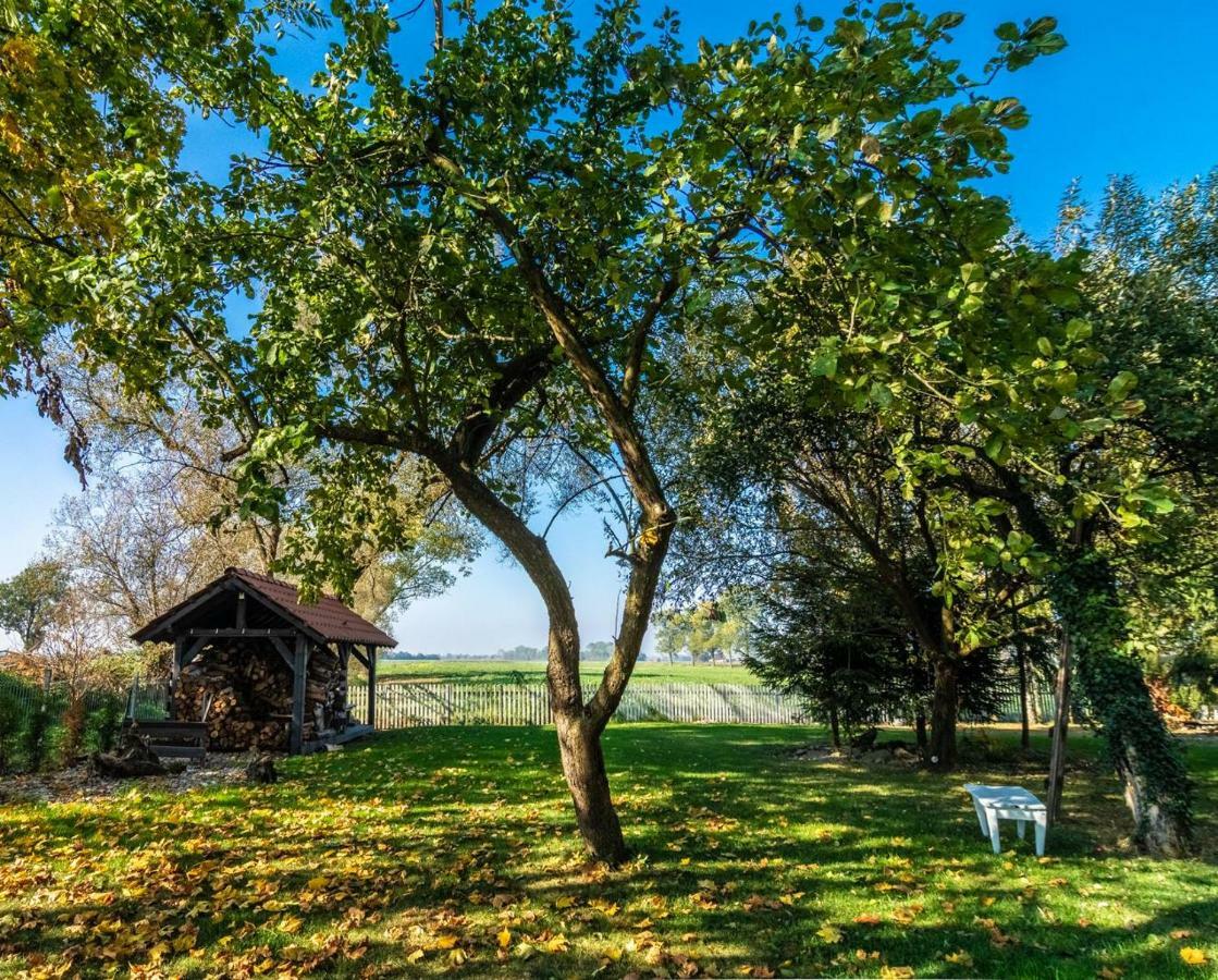 Casa Mia Xix-W Nadmorski Dom Z Ogrodem Cedry Male Esterno foto